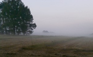 Morgenstimmung im Sternburger Land. Das Licht der aufgehenden Sonne taucht die Landschaft in Pastellfarben. (Foto: Jörg Levermann)