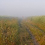Mystisch: Läufer im Nebel. (Foto: Jörg Levermann)