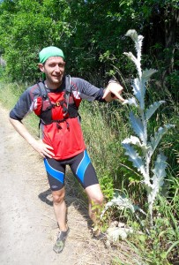 Sind die Stachel wirklich spitz? Alex probiert das an der Riesendistel gleich aus. (Foto: Jörg Levermann)