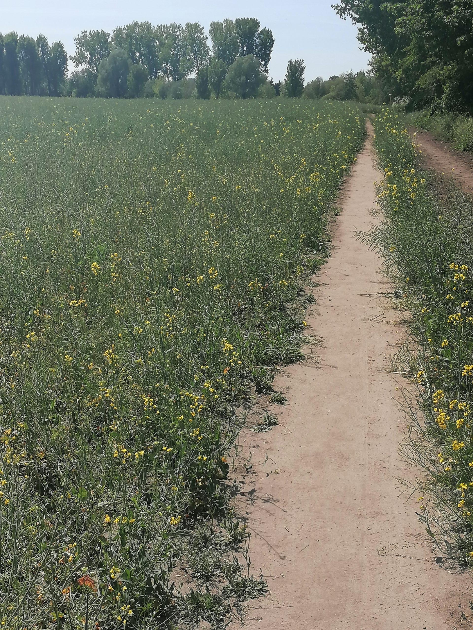 Der Weg ist das Ziel