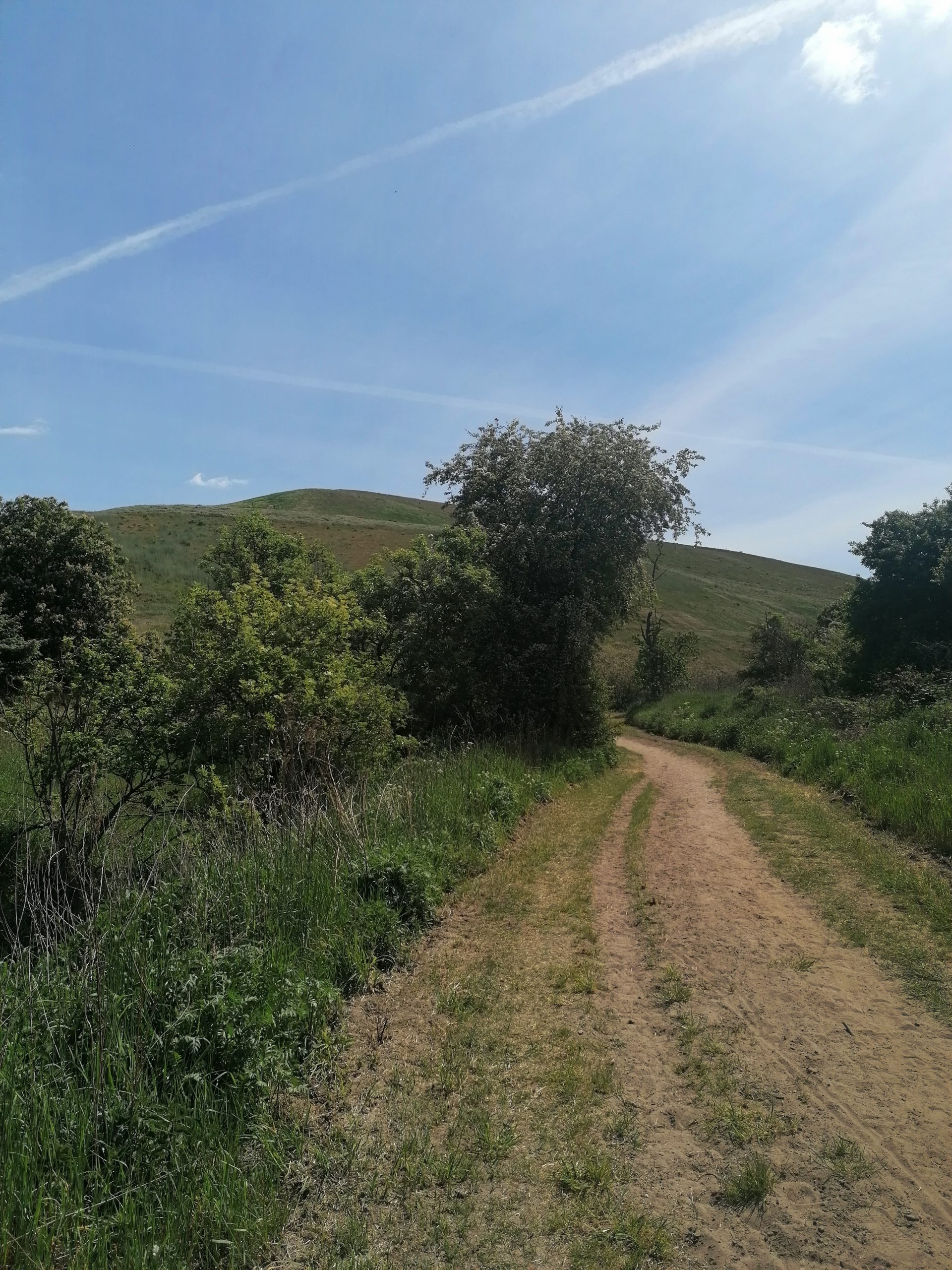 Die Arkenberge