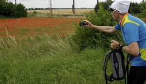 Klatschmohn inspiriert zur Fotografie. (Foto: Jörg Levermann)